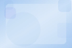 대체 도메인 접속